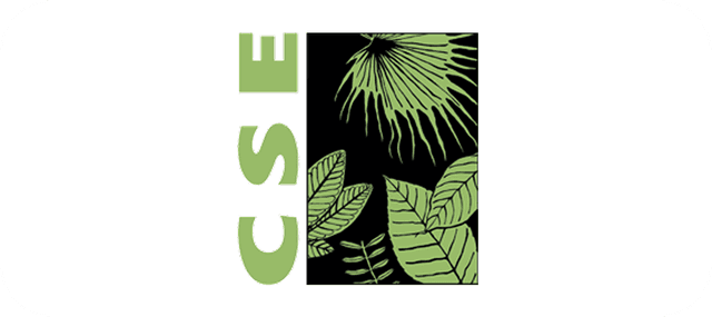 CSE Logo